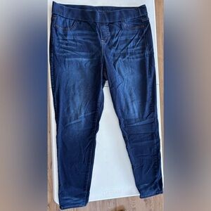 Lane Bryant Deep Indigo Skinny Jeans